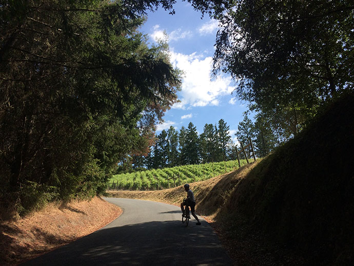 cycling bikepacking portola redwoods alpine road california