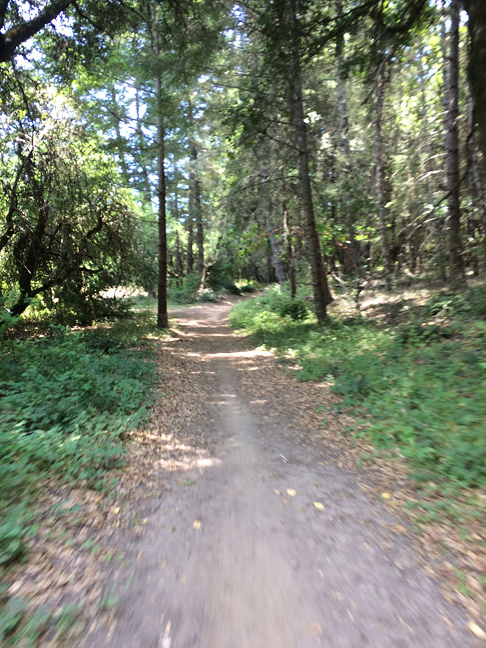 Skyline Trail along the Santa Cruz Mountains bikepacking